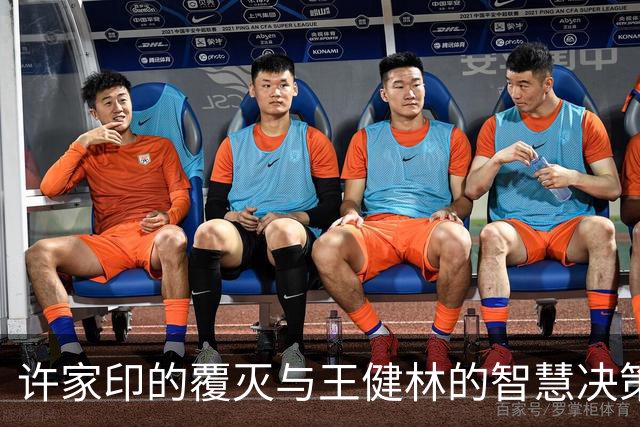 许家印的覆灭与王健林的智慧决策